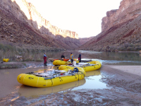 Choose from a range of activities in the Grand Canyon
